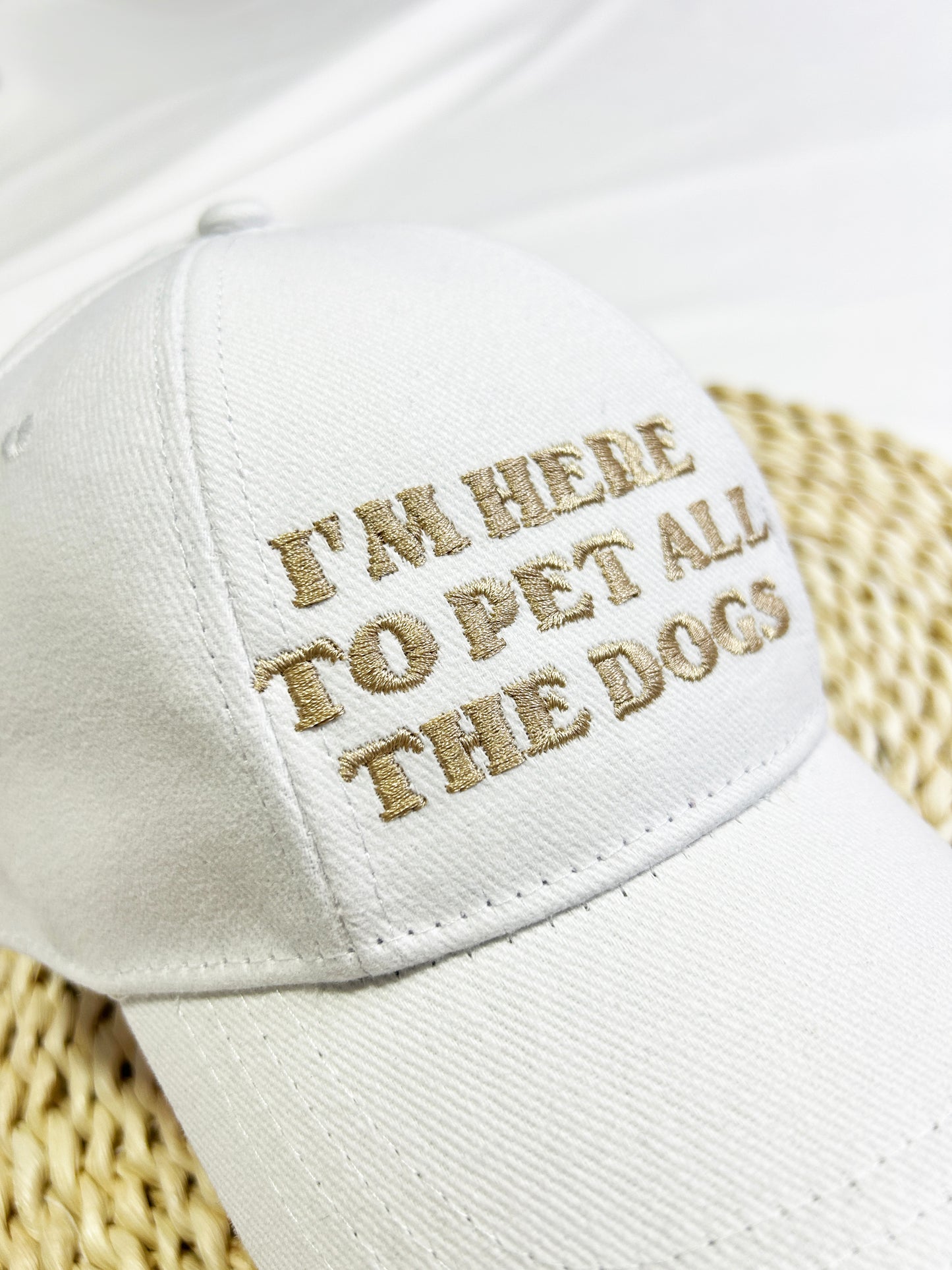 Sapca text I'm here to pet all the dogs