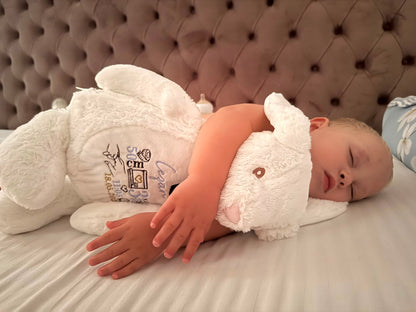 Jucarie de plus personalizata cu date nastere iepuras Mr. Fluffy Ears